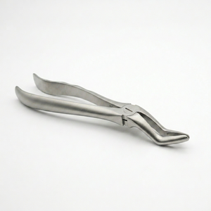 Pinzas de Extracción de Raíces Dentales con Acabado Mate, Instrumento Quirúrgico de Acero Inoxidable para Extracción de Dientes en Cirugía Oral - Product Image 1
