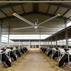 พัดลมเพดานอุตสาหกรรม HVLS สำหรับระบายความร้อนในอาคารขนาดใหญ่ - Product Image 3