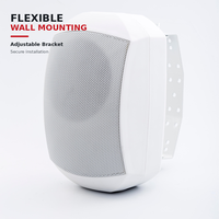 Speaker Dinding Komersial 40W 100V untuk Sistem PA, Pemasangan Tetap, Respon Luas, Suara Jernih, Dua Arah