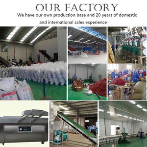 New <span class=keywords><strong>Corp</strong></span> khô Ớt bột Paprika thảo mộc duy nhất gia vị cho nhà bếp Vàng Ớt từ nhà cung cấp nhà máy - Product Image 6