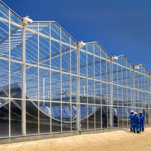 Agricultural Automated Polycarbonate Tunnel Plastic Glass Hydroponic Blackout Light Deprivation Greenhouse