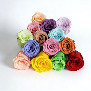 Têtes <span class=keywords><strong>de</strong></span> roses éternelles <span class=keywords><strong>de</strong></span> qualité supérieure (4-5 cm), lot <span class=keywords><strong>de</strong></span> 8, fleurs éternelles en gros pour centres <span class=keywords><strong>de</strong></span> table d'arche <span class=keywords><strong>de</strong></span> mariage, décorations <span class=keywords><strong>de</strong></span> remise <span class=keywords><strong>de</strong></span> diplôme, artisanat floral DIY - Product Image 2