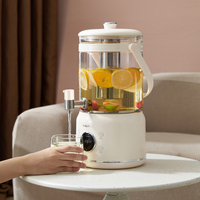 Bouilloire Électrique en Verre 3L à Écran Tactile, Infuseur Amovible pour Thé Fleuri, Théière Multifonctionnelle Santé - Grande Vente