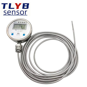 Digital <strong>Thermometer</strong> with Probe WST/DTM-491 High Precision Electronic Industry Waterproof Digital Water <strong>Thermometer</strong> - Product Image 2