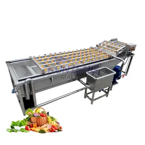 Commercial banana cleaner palm kernel cardamom papaya apple green onion fruits and vegetables air bubble cleaning machine line