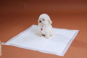 Tapis de propreté pour chien à prix abordable, coussin d'apprentissage hygiénique pour animaux de compagnie - Product Image 6