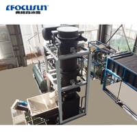 Usine de production de glace en tubes Focusun - Entreprise complète de glace en sacs, prête à l'emploi