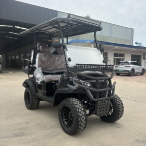 Carrito de Golf HKBG de 2+2 Plazas de Alta Potencia con Certificación CE, Venta al por Mayor de Carritos de Golf HKBG de 4 Plazas, Carrito de Golf de Gasolina de 2+2 Plazas - Product Image 2