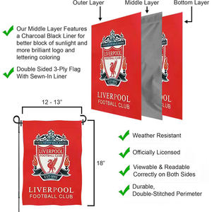 Mât de drapeau de jardin coupe-vent en acier inoxydable avec revêtement en poudre YF-HY-01 pour jeunes - Drapeaux personnalisables - Product Image 2