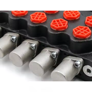 Vanne de commande directionnelle hydraulique monobloc SD5-G38, directement de l'usine, service de personnalisation OEM/ODM complet pour la construction et l'agriculture - Product Image 4