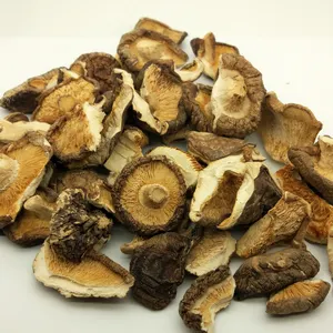 Organic Dry Shiitake Mushrooms Wholesale Organic Dried Shiitake Mushroom 2-3cm
