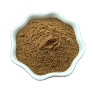 100% Natural High Quality Damiana Leaf Herbal Extract Powder Chinese Herbal Medicine