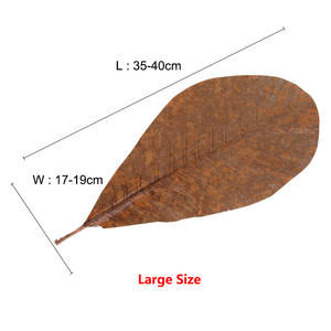 Estera desechable para barbacoa, para restaurante japonés, <span class=keywords><strong>Sushi</strong></span>, Sashimi, platos de hojas secas al sol, hojas naturales, Hackberry - Product Image 4