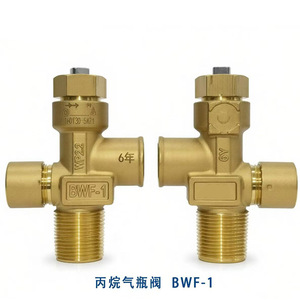 Válvula de Cilindro de Latón Bwf-1 de 1/2 Pulgada para Cilindro de Propano - Product Image 5