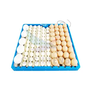 70 pcs Automatic Egg Turner Plastic Incubator Egg Tray For Kenya