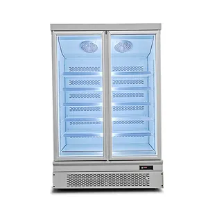 Réfrigérateur commercial et congélateur 1450L Gelato Display Seafood Showcase Freezer