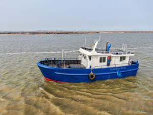 Bateau de pêche en acier Grandsea 14m, filet de pêche <span class=keywords><strong>à</strong></span> la palangre, petit bateau de pêche - Product Image 3