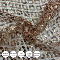 Nouveau tissu en maille à paillettes brodées tendance |   100% polyester 170GSM pour costumes de scène féminins, tenues de performance