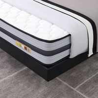 Lit de chambre minimaliste et luxueux, réglable et assemblé, avec rangement sous le lit et structure métallique robuste, pour usage familial et commercial