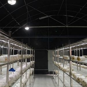 Membrane imperméable universelle de qualité supérieure, en polymère de qualité supérieure, antidérapante, pour peintre, en <span class=keywords><strong>feutre</strong></span> - Product Image 6