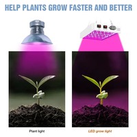 Le plus récent 4000/5000W spectre complet LED lumière croissante IP65 ampoules végétales lampe hydroponique lampes à effet de serre fleur croissance boîte d'éclairage