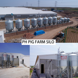 Silo d'alimentation à 6 pieds de 30 tonnes de capacité pour l'équipement d'élevage - Product Image 6