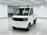 Mini-camion électrique écologique à émissions zéro, véhicule de livraison du dernier kilomètre, petit véhicule utilitaire pour la logistique urbaine, moteur 2000W