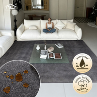 Tapis Dsermer moderne de luxe, fabriqué à la machine, imperméable, résistant aux taches, en polyester à poils longs, couleur unie, adapté aux animaux domestiques, pour chambre à coucher