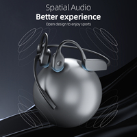 Headset Nirkabel Open Ear BT5.2 Dengan Mikrofon Boom Peredam Kebisingan Headphone Konduksi Tulang untuk Pengemudi Truk Kantor Olahraga