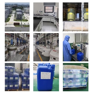 SFCX 70% Acide Phytique Industriel (Modèle Acide Phytique 70%) pour le Traitement des Surfaces Métalliques Agent Chélatant - Non-Additif Alimentaire - Product Image 4