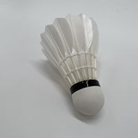 Volant de badminton TCX PRO amortissant les chocs pour une longévité maximale, un point de chute optimal et un vol fluide sans mouvements inattendus