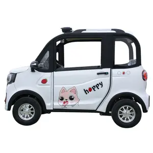 Model car 2022 New professional design car Made in china Cheapest electric car