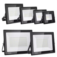 Lampu Sorot Luar Ruangan IP66 Tahan Air Chip SMD LED Lampu Sorot Super Terang Proyektor 50W/100W Sudut Sinar 120 Derajat Dingin