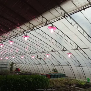 Serre agricole solaire chinoise à simple travée, avec structure en acier galvanisé à chaud et bâche, <span class=keywords><strong>facile</strong></span> à assembler pour la culture de tomates - Product Image 4