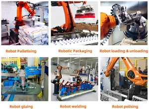 DZJX Automomus Pallet Movement Robot Autonomous Mobile Bag Palletizing Robot Beer Crates Box Column Robot Palletizer