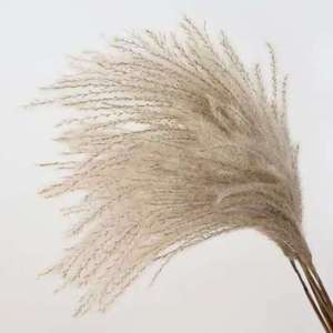 Petites herbes de la pampa colorées séchées, plantes décoratives moelleuses, fleurs séchées en gros, personnalisation sur mesure pour la décoration intérieure et les événements - Product Image 1