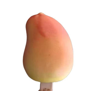 Helado de Frutas con Sabor a Mango YILAIGEER en Caja de 75g, Vida Útil de 12 Meses - Product Image 1