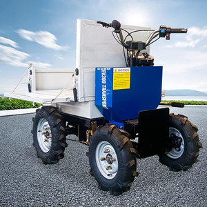 Carico <span class=keywords><strong>500</strong></span> kg di batteria elettrico piccolo Dumper elettrico ruota carriola autocaricante piccolo autocarro - Product Image 3