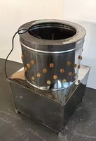 Offre Spéciale 40 petite volaille en acier inoxydable plumeuse automatique caille Pigeon colombe plumeuse