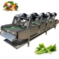 Automatische multifunctionele roestvrijstalen fruit- en groentedroger te koop