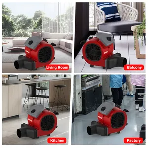 JIENUO Mini Portable Mechanical Powerful Air Dryer Blower For Carpet Floor Air Cooling Ventilation With Low Noise JN-C2