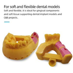 ACME 3d diş Gingiva reçine yüksek hassasiyetli ışığa Implant modelleri pembe kırmızı Lcd Dlp 1kg/şişe
