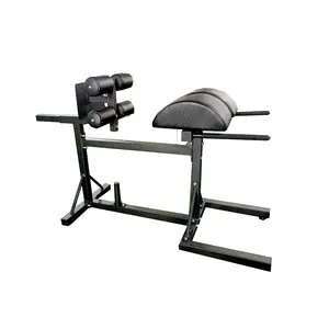 Gym Equipment Fitness High Quality Glute Ham Developer Hyper Extension Lower Back Strength Training Exercise Benches