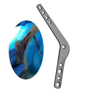 RUNPHY Placca Ortopedica Veterinaria in Titanio con Bloccaggio per Animali di Piccola Taglia, Cani e Gatti, per Artrodesi e Placca Ossea Carpaletaria - Product Image 2