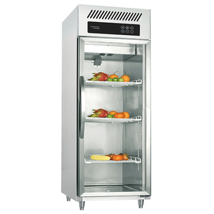 Commercial Kitchen Double Glass Door Upright <b>Freezer</b> Stainless Steel Air Cooling Digital Control Automatic Defrost GA0.5S2R Stai - Product Image 5