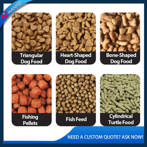 Machine extrudeuse d'aliments pour animaux <span class=keywords><strong>de</strong></span> compagnie multi-usages pour la production d'aliments pour chiens, chats, graines pour oiseaux, appâts <span class=keywords><strong>de</strong></span> <span class=keywords><strong>pêche</strong></span>, extrusion d'aliments avec <span class=keywords><strong>moules</strong></span> personnalisés - Product Image 5