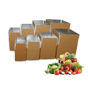 냉동 식품에 대한 도매 사용자 정의 크기 냉장 단열재 분해성 중장비 절연 배송 상자