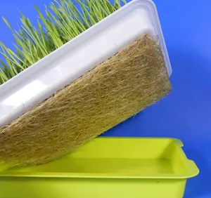 系统室内播种种子起动器苗圃花园播种机塑料家用Diy Microgreens水培微绿色生长托盘