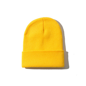 Pure color hat wild WOMEN'S Fashion HOODED's fall and winter warm wool cap men wholesale - Product Image 1