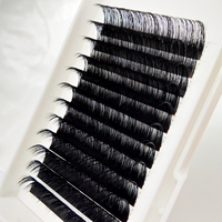 Extensions de cils, greffe de cils individuels, plateau de cils personnalisé, extensions de cils courbure CC DD, vison 20MM, fourrure de vison, volume intense, OEM ODM T/T